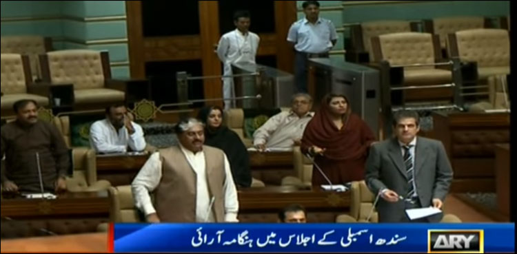 Ruckus in Sindh Assembly after GDA leader criticises Zardari