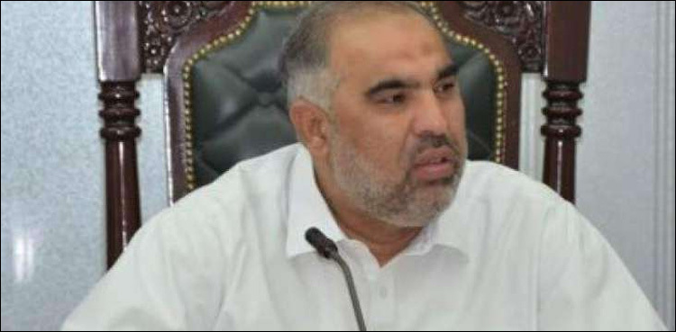 Country's economy has stabilized owing to prudent policies: Asad Qaiser