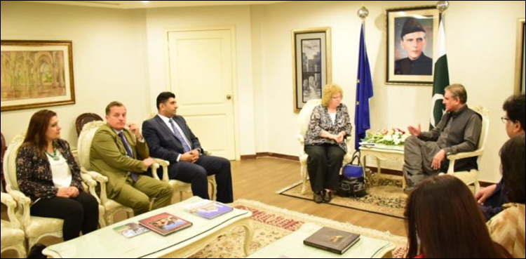 European Parliament's South Asia delegation calls on foreign minister