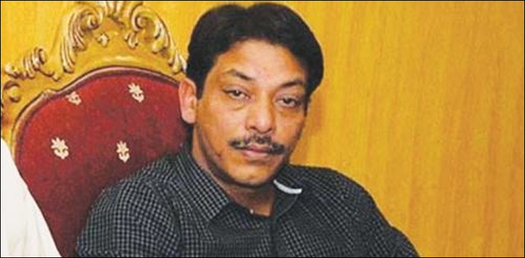 Faisal Raza Abidi arrested in contempt case