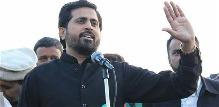 Hamza, Shehbaz Sharif looted Punjab for 10 years: Chohan