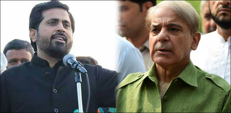 Shehbaz Sharif distributed taxpayers' Rs300billion among friends, relatives: Chohan