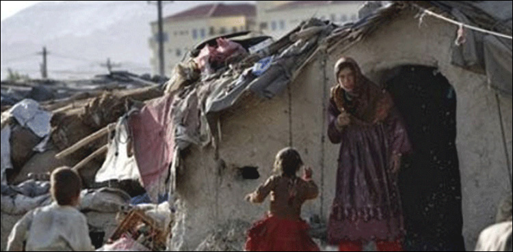 Deserving people of Fata facing problems due to non-distribution of Zakat: Senate body