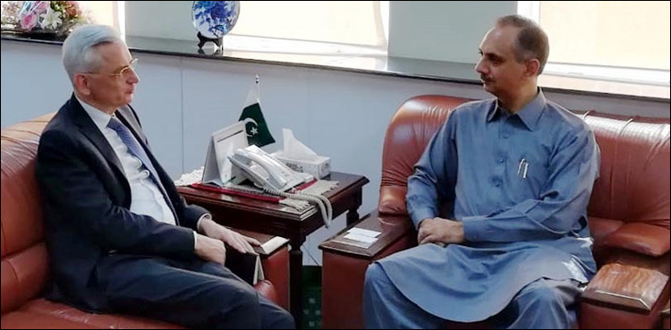 Two French companies want to invest in Pakistan's power sector: Ambassador Marc Barety
