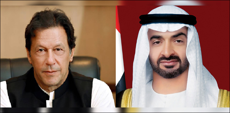 UAE assures Pakistan for support in implementation of reform agenda