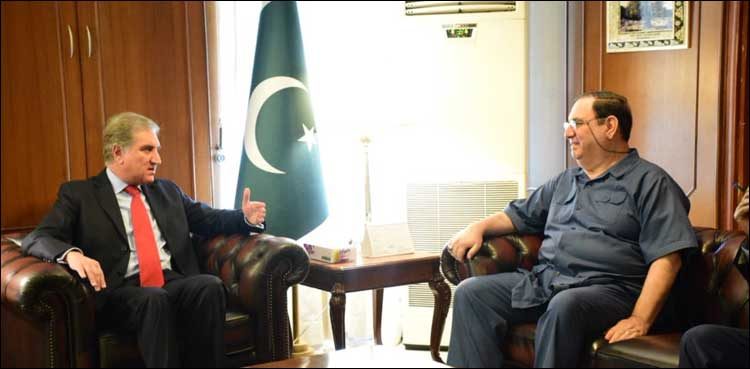 FM Qureshi discusses visa issues for Arbaeen pilgrims with Iraqi envoy