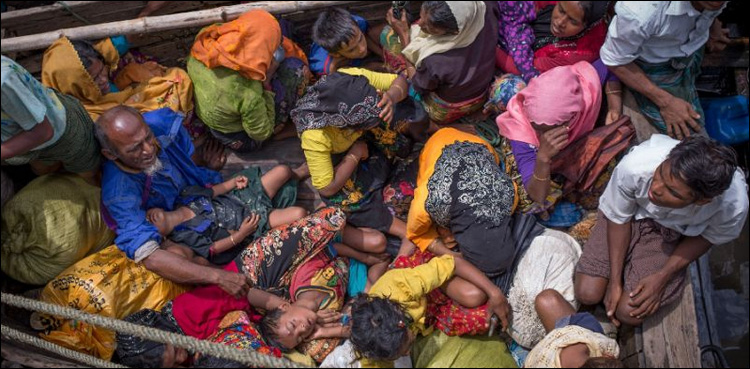 Myanmar unwilling to probe Rohingya abuse, UN must act: rights envoy