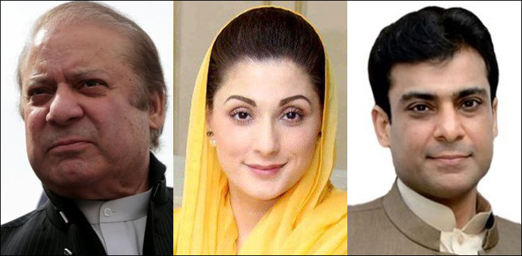 Hamza discusses Shehbaz's arrest with Nawaz, Maryam at Jati Umra