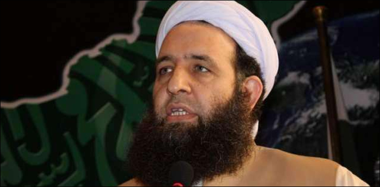All religions treated, respected evenly in Pakistan: Noor-ul-Haq Qadri