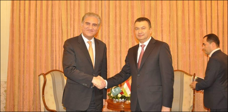 FM Qureshi calls on Tajik prime minister in Dushanbe