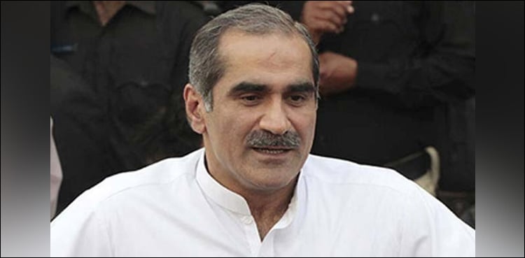 Saad Rafique, brother sent to jail on 14-day judicial remand