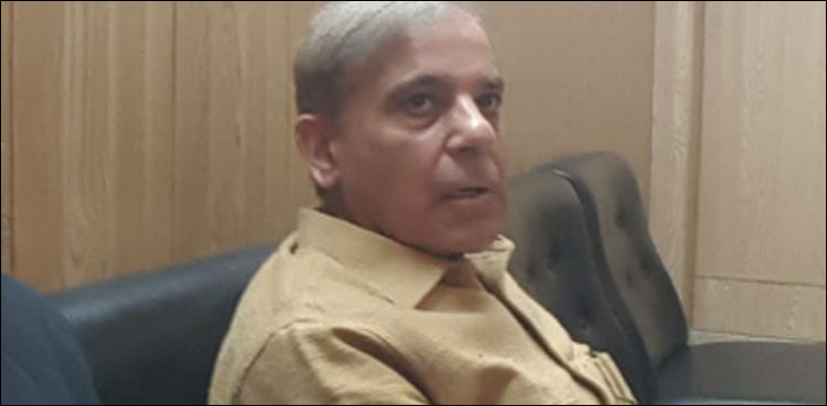 Shehbaz Sharif remanded in NAB custody for 10 days