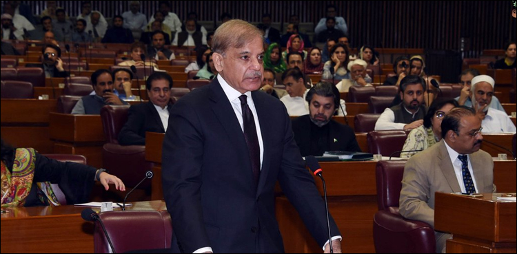'Prove who asked for NRO or apologise,' Shehbaz assails PM in NA session