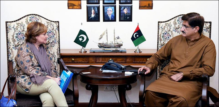 Sindh to launch Rs101.7m cluster survey program for monitoring human development