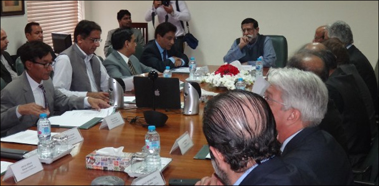 PC reviews finalisation of entities to be included in active privatisation programme