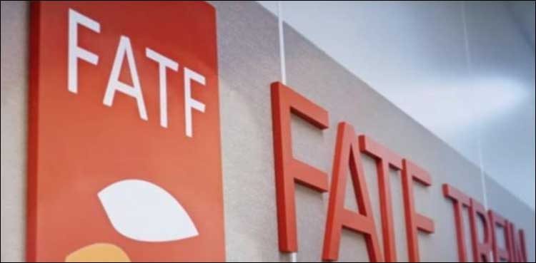 FATF delegation puts forth demands to Islamabad