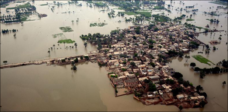 Pakistan needs integrated flood risk management system: adviser