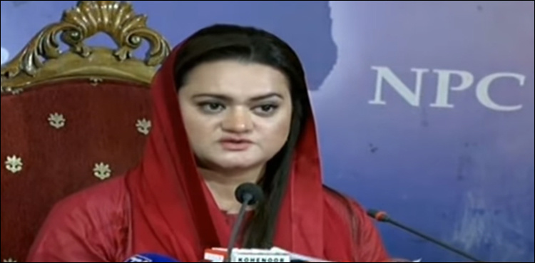 Govt should inform people it has no policy, says Marriyum Aurangzeb