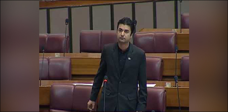 Murad Saeed promoted as federal minister