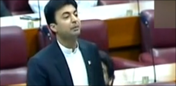 Minister of State Murad Saeed lashes at previous PML-N govt