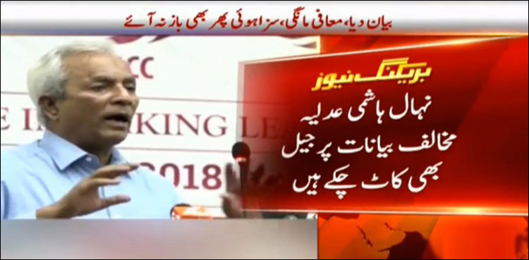 ‘Controversial statement’: PTI senator demands legal action against Hashmi