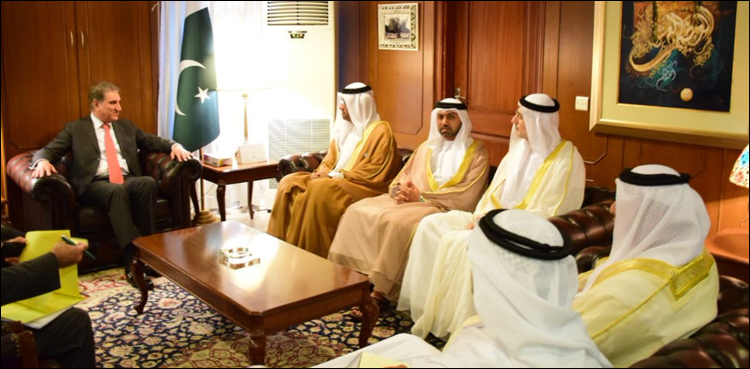 High-level UAE delegation calls on foreign minister