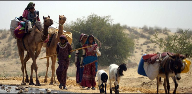 Sindh govt prepares poverty reduction strategy with EU support