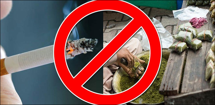 Khyber Pakhtunkhwa govt bans Naswar, cigarette in educational institutes