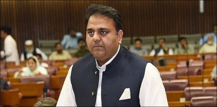Fawad wants committee to fix responsibility for 'economic terrorism'