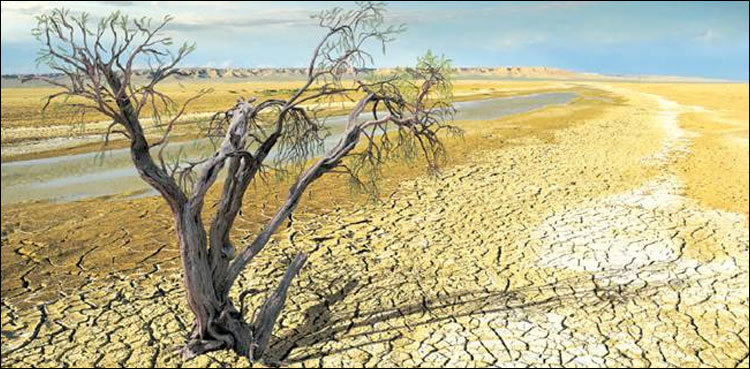 World warming at record pace, scientists warn