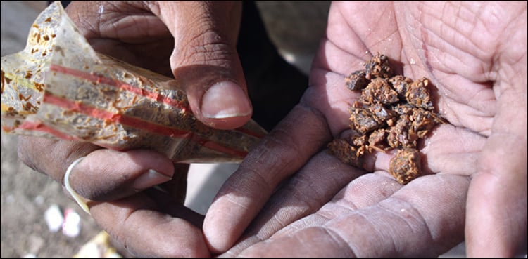 Task force formed against gutka mafia expedites action in Karachi