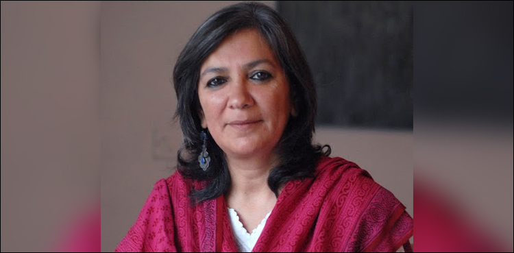 Indian journalist eulogises Imran's peace overture, slams Modi govt's 'irresponsible' response