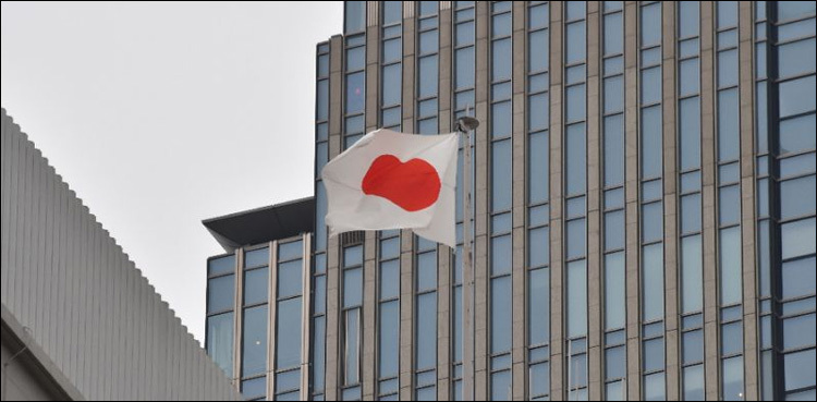 One of our islands is missing: Japan 'loses' a bit of land