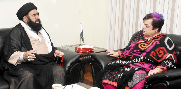 Govt committed to protect citizens' rights: Mazari