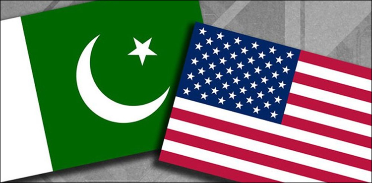 'US must not forget top Al-Qaida leaders were killed by Pak's cooperation,' FO lodges protest