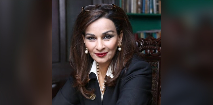 'We will do this, we will do that': Sherry Rehman slams govt's 100-day performance