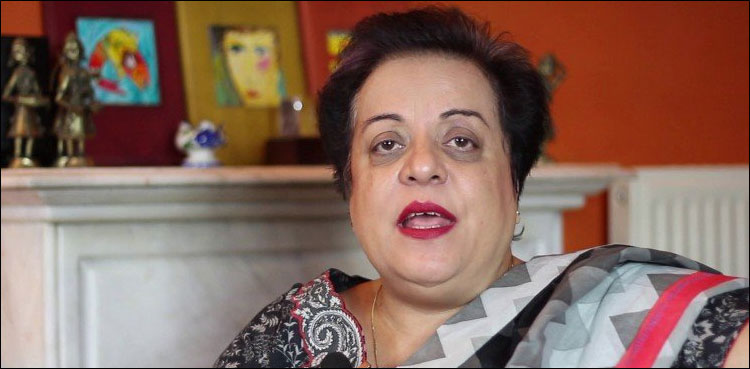 PM's tweets compelled Trump to do a reality check: Shireen Mazari