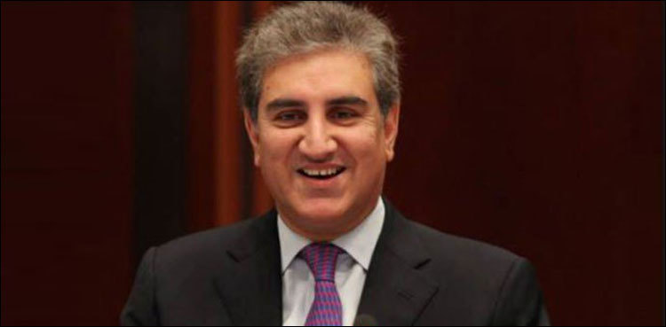 Foreign Office will continue to act as first line of defence: FM Qureshi