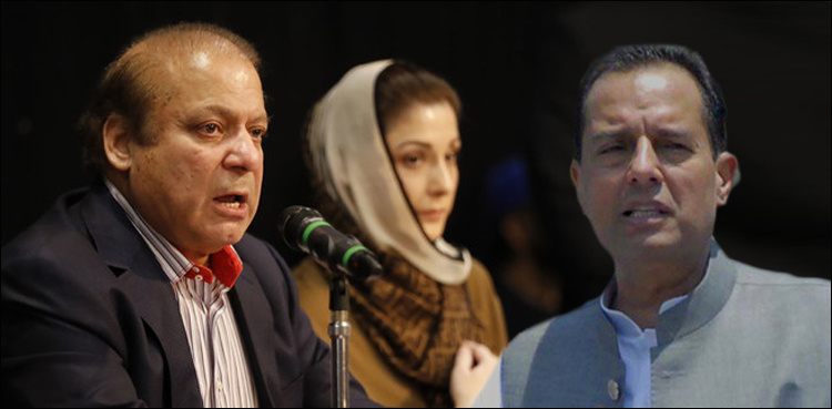 There was no option than suspending IHC verdict on Sharifs' jail term: CJP