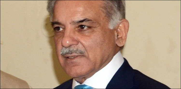 Lawyers panel seek cancellation of Shehbaz Sharif production orders