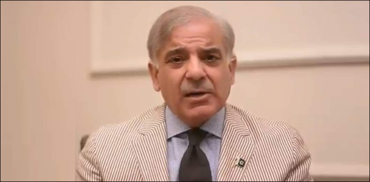 Shehbaz Sharif declared fit after medical examination: sources
