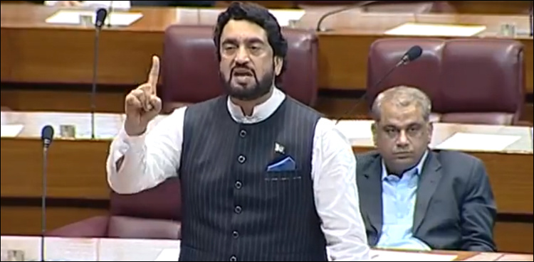 Entire nation aggrieved over Sahiwal incident: Shehryar Afridi