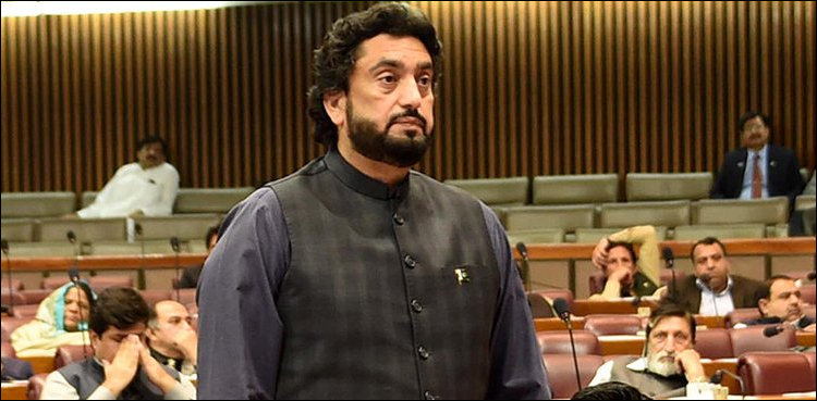 Govt speeds up implementation of NAP: Shehryar Afridi