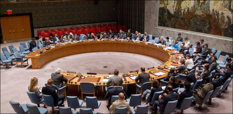 UN Security Council condemns ‘cowardly’ terror attacks in Pakistan