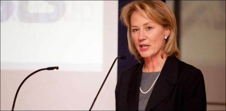 US ambassador to meet finance minister, foreign ministry officials today