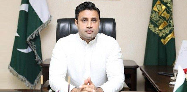 'Friendships' don't work in national matters , CJP on Zulfi Bukhari's appointment