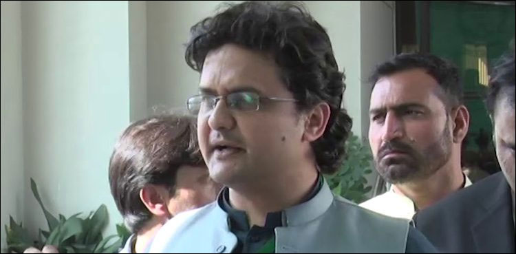 Govt to expedite accountability process: Faisal Javed