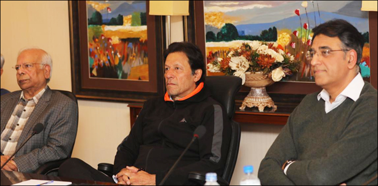 Economic Advisory Council approves framework for protection of society's vulnerable segments
