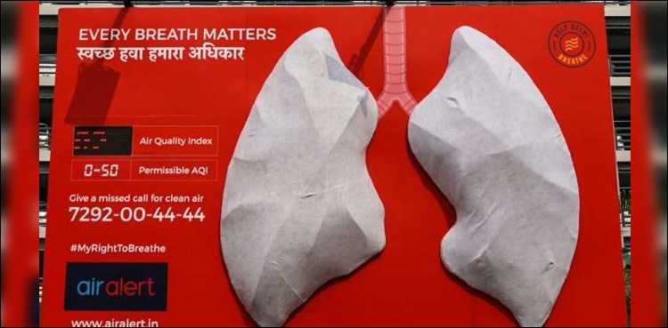 Delhi 'lungs' turn sickly brown in days