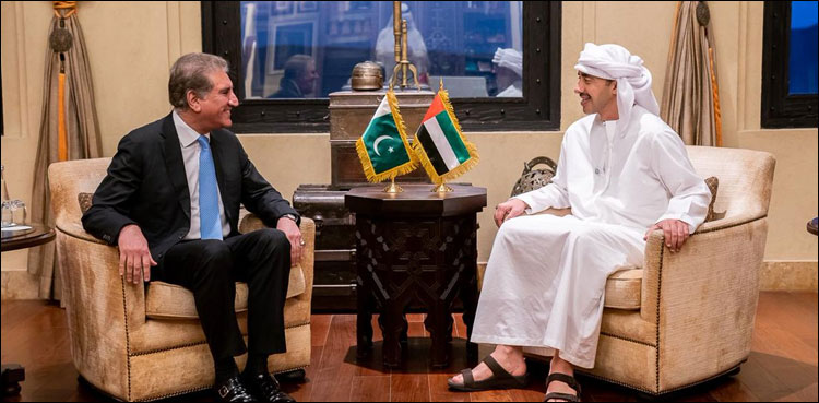 Foreign Minister Qureshi calls on his UAE counterpart